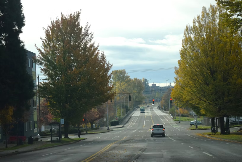 850_2440.jpg